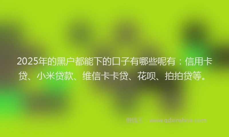 2025年的黑户都能下的口子有哪些呢有：信用卡贷、小米贷款、维信卡卡贷、花呗、拍拍贷等。