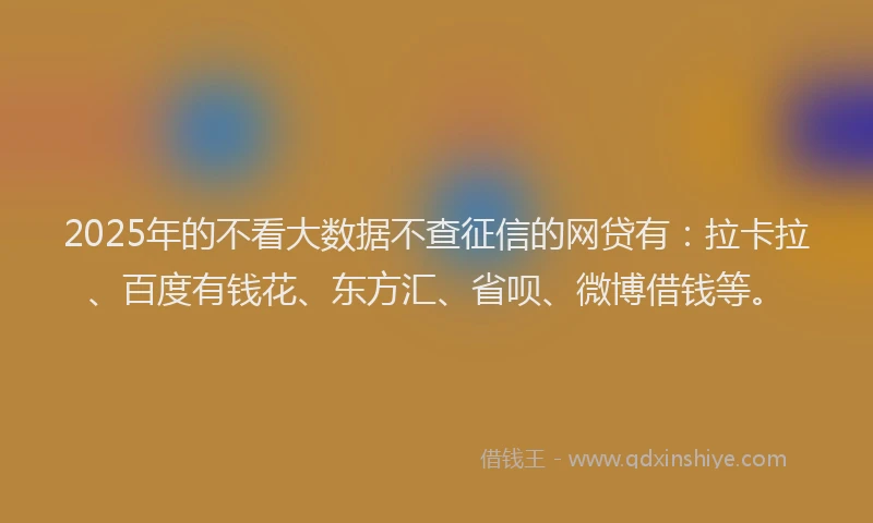 2025年的不看大数据不查征信的网贷有：拉卡拉、百度有钱花、东方汇、省呗、微博借钱等。