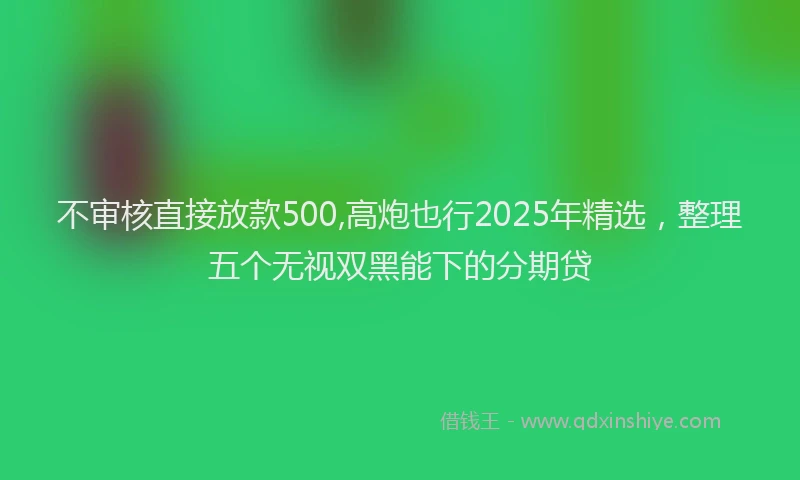 不审核直接放款500,高炮也行2025年精选，整理五个无视双黑能下的分期贷