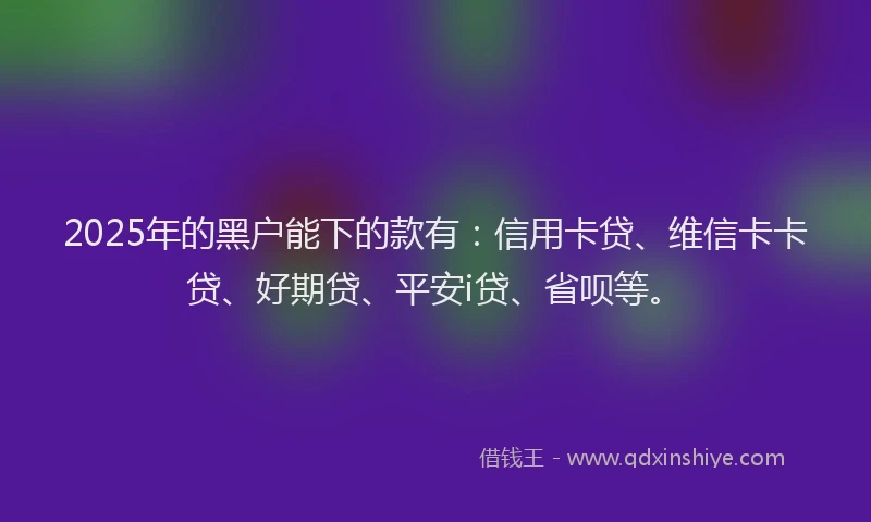 2025年的黑户能下的款有：信用卡贷、维信卡卡贷、好期贷、平安i贷、省呗等。