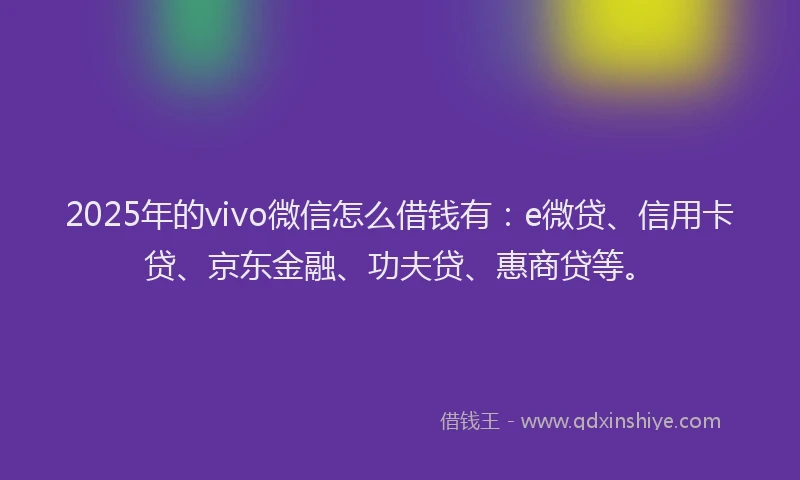 2025年的vivo微信怎么借钱有：e微贷、信用卡贷、京东金融、功夫贷、惠商贷等。