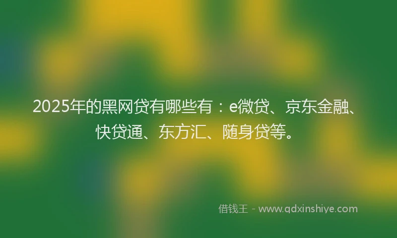 2025年的黑网贷有哪些有：e微贷、京东金融、快贷通、东方汇、随身贷等。
