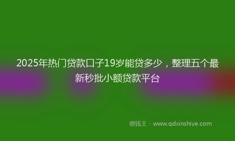2025年热门贷款口子19岁能贷多少，整理五个最新秒批小额贷款平台
