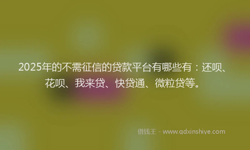2025年的不需征信的贷款平台有哪些有：还呗、花呗、我来贷、快贷通、微粒贷等。