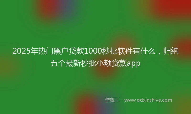 2025年热门黑户贷款1000秒批软件有什么，归纳五个最新秒批小额贷款app