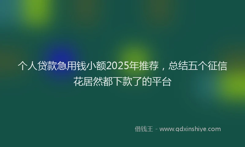 个人贷款急用钱小额2025年推荐，总结五个征信花居然都下款了的平台