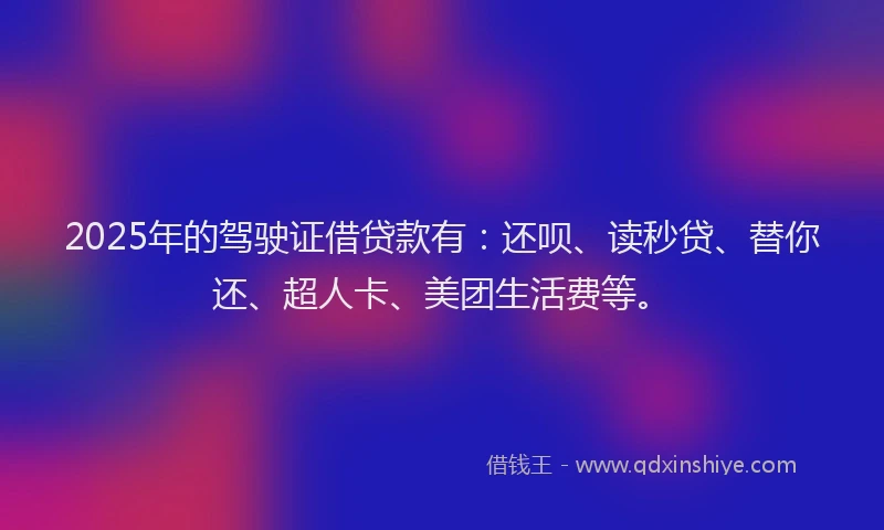 2025年的驾驶证借贷款有：还呗、读秒贷、替你还、超人卡、美团生活费等。