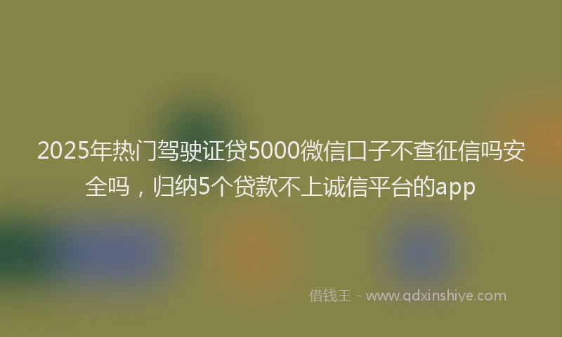 2025年热门驾驶证贷5000微信口子不查征信吗安全吗，归纳5个贷款不上诚信平台的app