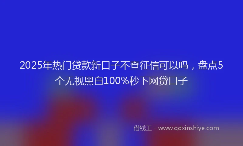 2025年热门贷款新口子不查征信可以吗，盘点5个无视黑白100%秒下网贷口子