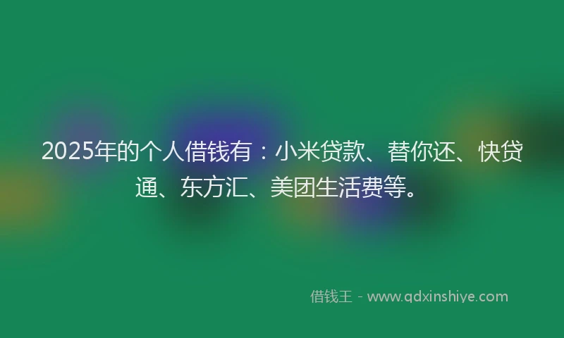 2025年的个人借钱有：小米贷款、替你还、快贷通、东方汇、美团生活费等。