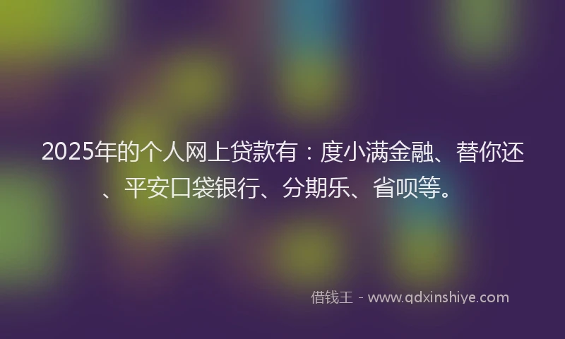 2025年的个人网上贷款有：度小满金融、替你还、平安口袋银行、分期乐、省呗等。