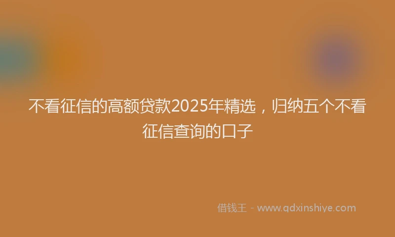不看征信的高额贷款2025年精选，归纳五个不看征信查询的口子