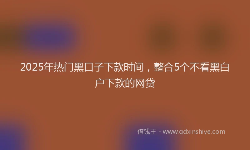 2025年热门黑口子下款时间，整合5个不看黑白户下款的网贷