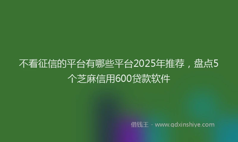 不看征信的平台有哪些平台2025年推荐，盘点5个芝麻信用600贷款软件