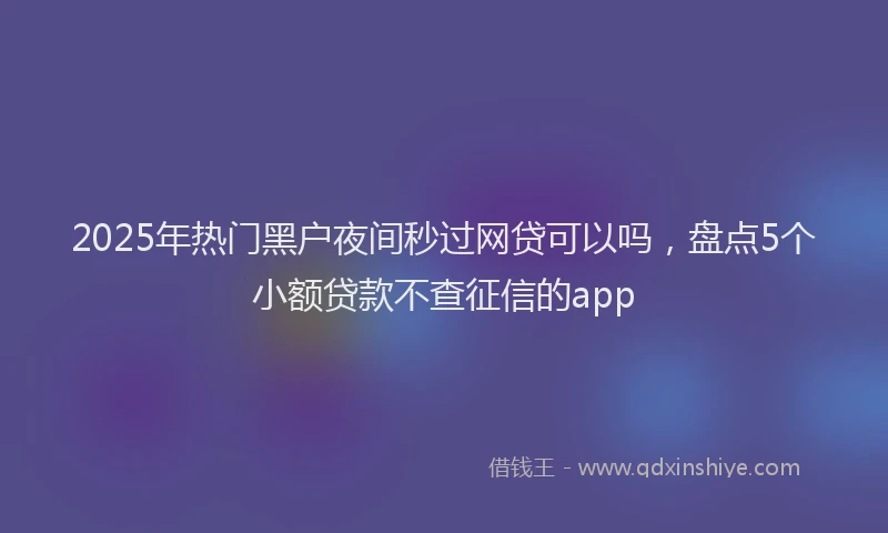 2025年热门黑户夜间秒过网贷可以吗，盘点5个小额贷款不查征信的app