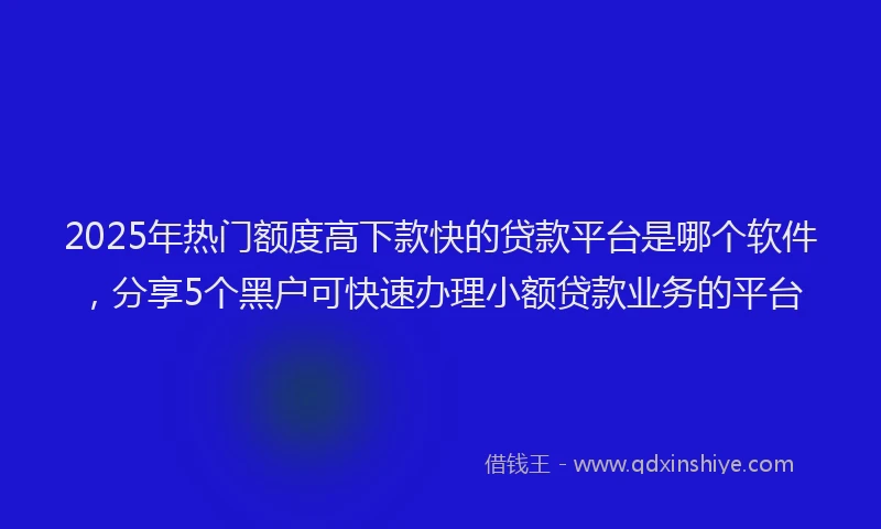 2025年热门额度高下款快的贷款平台是哪个软件，分享5个黑户可快速办理小额贷款业务的平台