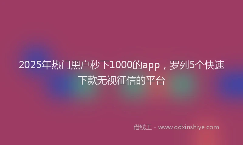 2025年热门黑户秒下1000的app，罗列5个快速下款无视征信的平台