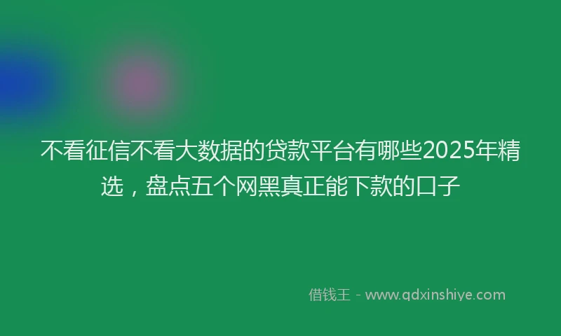 不看征信不看大数据的贷款平台有哪些2025年精选，盘点五个网黑真正能下款的口子