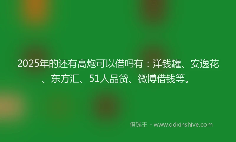 2025年的还有高炮可以借吗有：洋钱罐、安逸花、东方汇、51人品贷、微博借钱等。