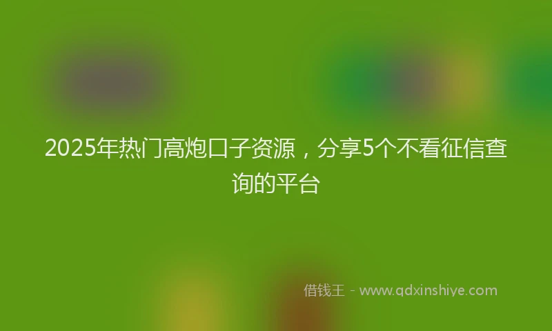 2025年热门高炮口子资源，分享5个不看征信查询的平台