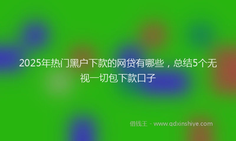 2025年热门黑户下款的网贷有哪些，总结5个无视一切包下款口子