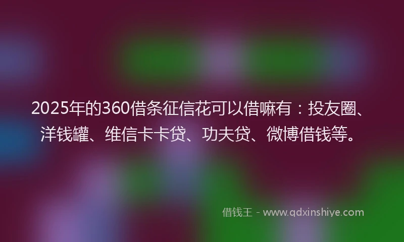 2025年的360借条征信花可以借嘛有：投友圈、洋钱罐、维信卡卡贷、功夫贷、微博借钱等。