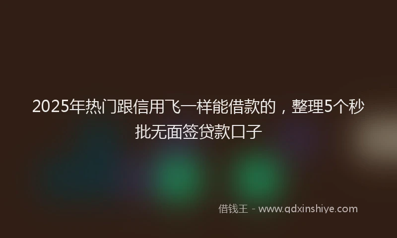 2025年热门跟信用飞一样能借款的，整理5个秒批无面签贷款口子
