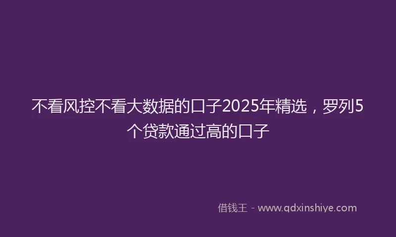 不看风控不看大数据的口子2025年精选，罗列5个贷款通过高的口子