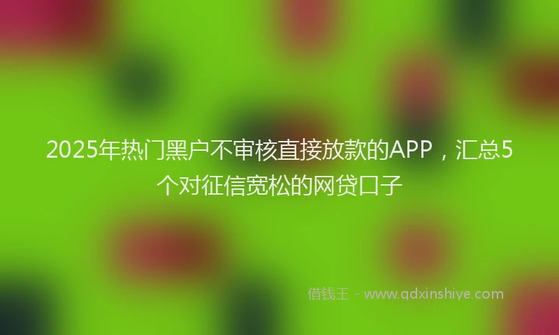 2025年热门黑户不审核直接放款的APP，汇总5个对征信宽松的网贷口子