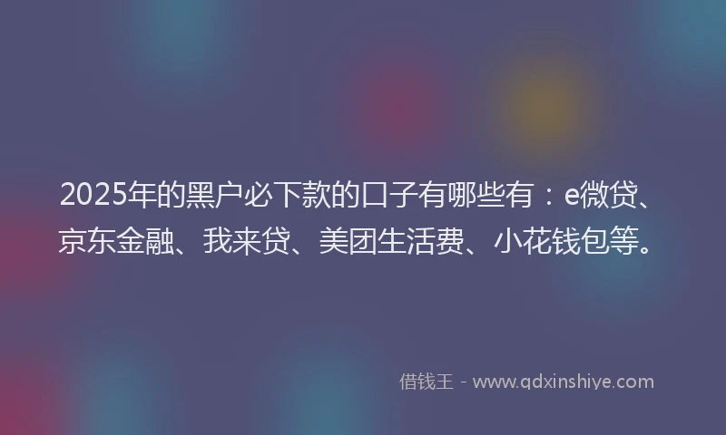 2025年的黑户必下款的口子有哪些有：e微贷、京东金融、我来贷、美团生活费、小花钱包等。