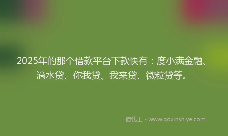2025年的那个借款平台下款快有：度小满金融、滴水贷、你我贷、我来贷、微粒贷等。