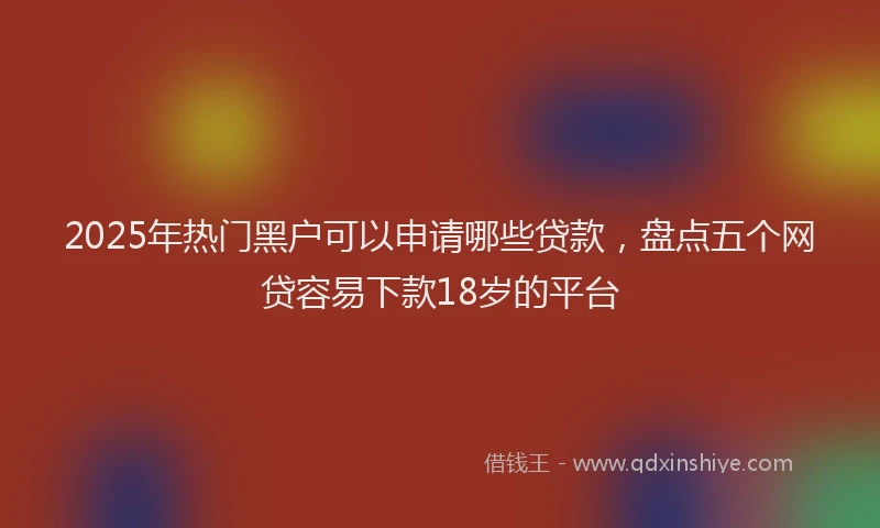 2025年热门黑户可以申请哪些贷款，盘点五个网贷容易下款18岁的平台