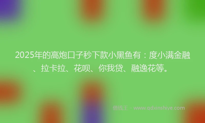 2025年的高炮口子秒下款小黑鱼有：度小满金融、拉卡拉、花呗、你我贷、融逸花等。