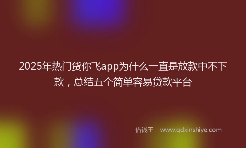 2025年热门货你飞app为什么一直是放款中不下款，总结五个简单容易贷款平台