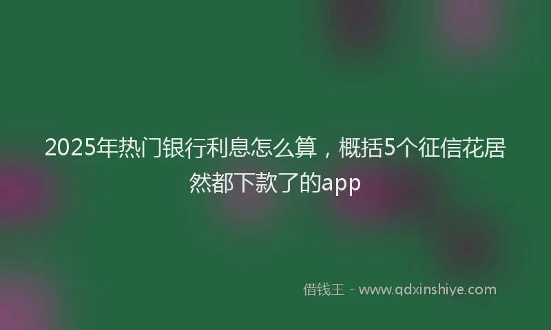 2025年热门银行利息怎么算，概括5个征信花居然都下款了的app