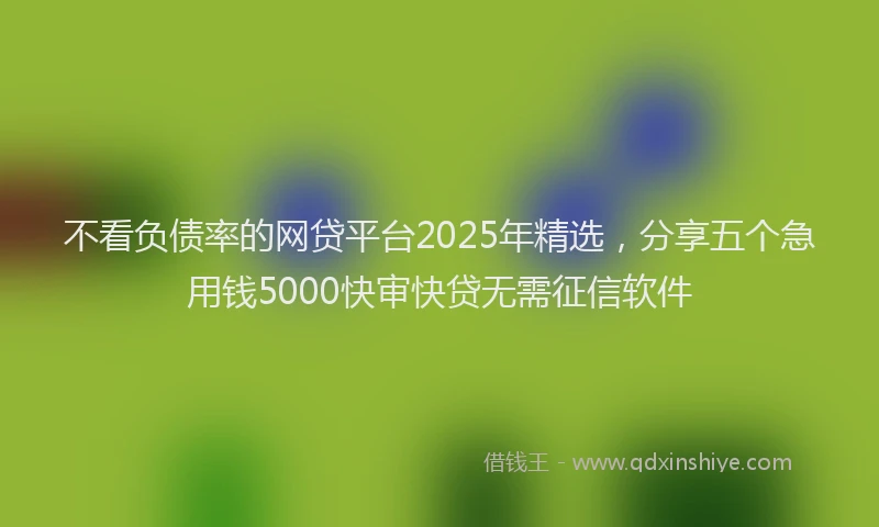 不看负债率的网贷平台2025年精选，分享五个急用钱5000快审快贷无需征信软件