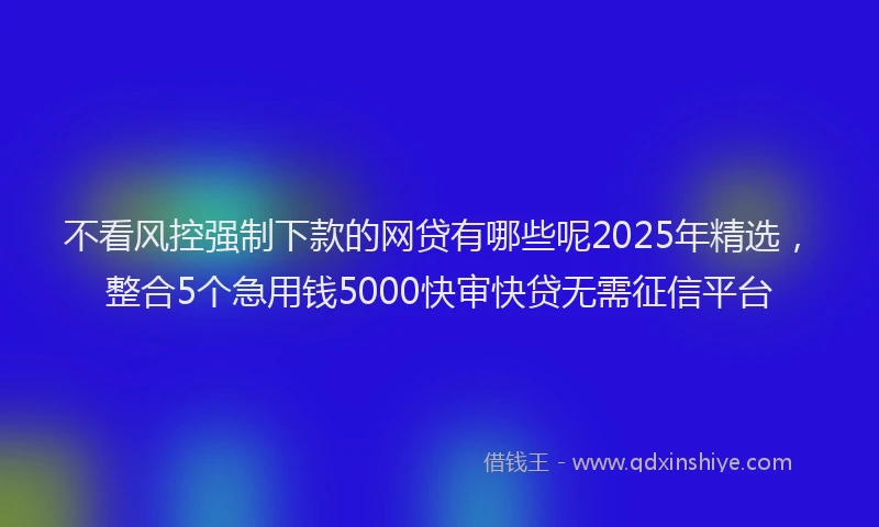不看风控强制下款的网贷有哪些呢2025年精选，整合5个急用钱5000快审快贷无需征信平台