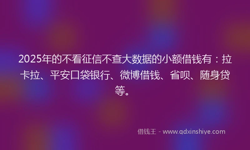 2025年的不看征信不查大数据的小额借钱有：拉卡拉、平安口袋银行、微博借钱、省呗、随身贷等。