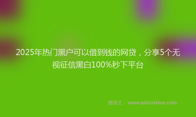 2025年热门黑户可以借到钱的网贷，分享5个无视征信黑白100%秒下平台