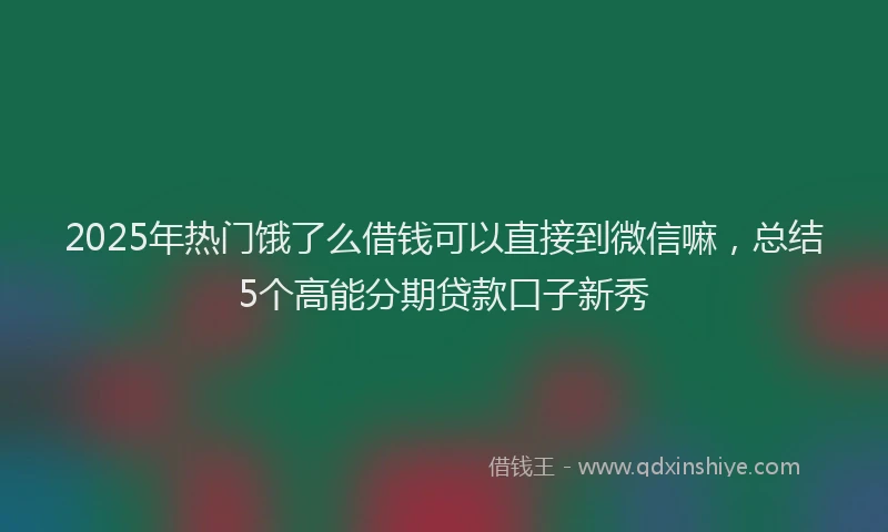2025年热门饿了么借钱可以直接到微信嘛，总结5个高能分期贷款口子新秀