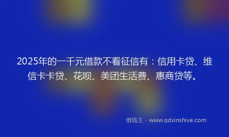 2025年的一千元借款不看征信有：信用卡贷、维信卡卡贷、花呗、美团生活费、惠商贷等。