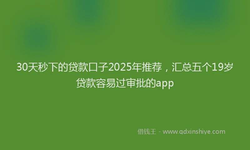 30天秒下的贷款口子2025年推荐,汇总五个19岁贷款容易过审批的app