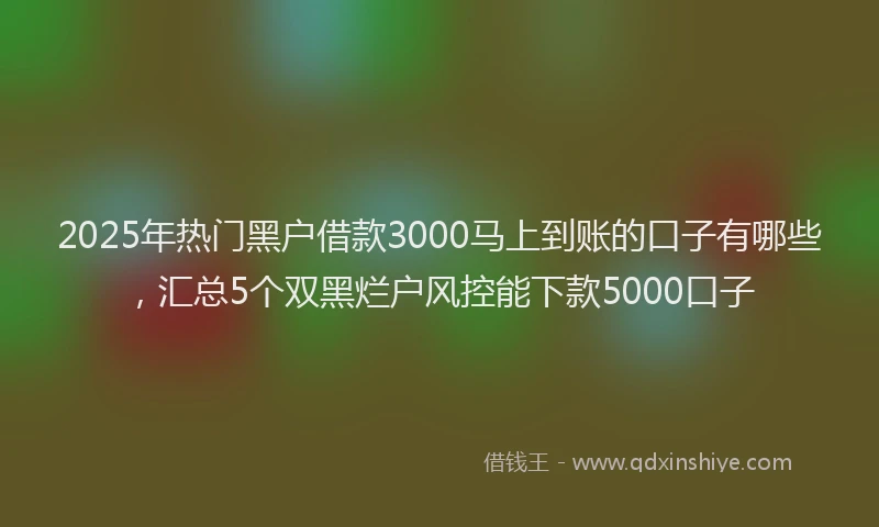 2025年热门黑户借款3000马上到账的口子有哪些，汇总5个双黑烂户风控能下款5000口子