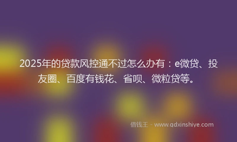 2025年的贷款风控通不过怎么办有：e微贷、投友圈、百度有钱花、省呗、微粒贷等。