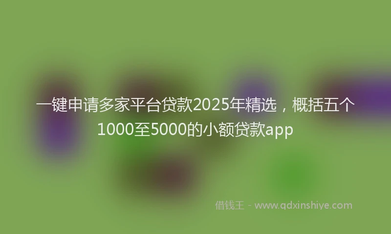 一键申请多家平台贷款2025年精选，概括五个1000至5000的小额贷款app