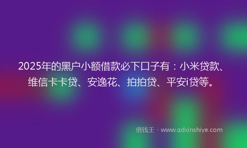 2025年的黑户小额借款必下口子有：小米贷款、维信卡卡贷、安逸花、拍拍贷、平安i贷等。