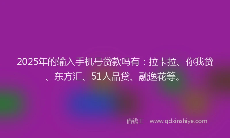 2025年的输入手机号贷款吗有：拉卡拉、你我贷、东方汇、51人品贷、融逸花等。