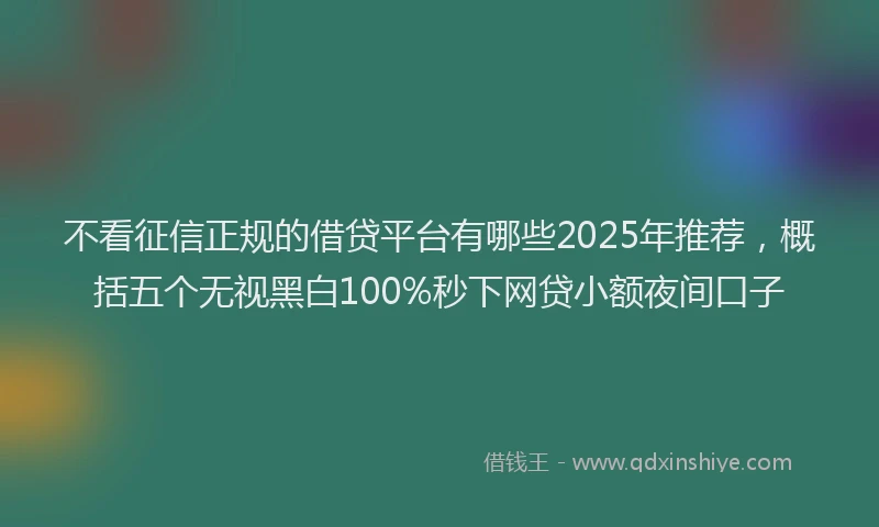 不看征信正规的借贷平台有哪些2025年推荐，概括五个无视黑白100%秒下网贷小额夜间口子