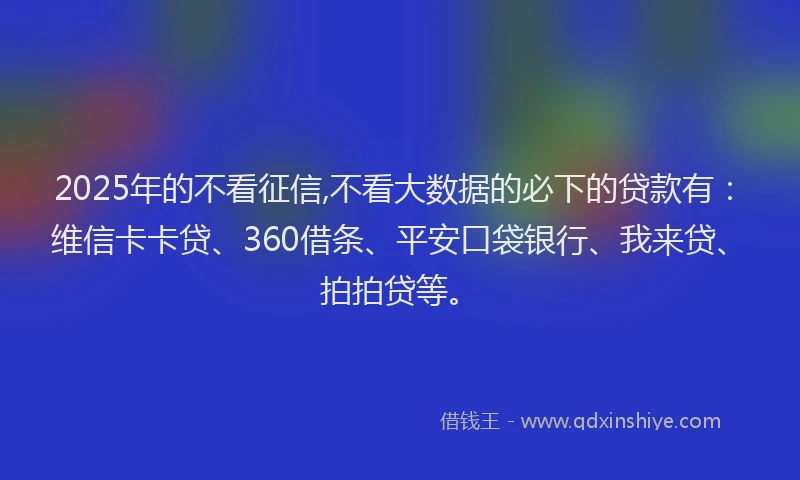 2025年的不看征信,不看大数据的必下的贷款有：维信卡卡贷、360借条、平安口袋银行、我来贷、拍拍贷等。