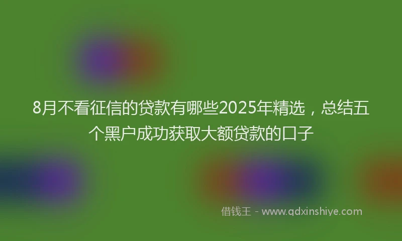 8月不看征信的贷款有哪些2025年精选，总结五个黑户成功获取大额贷款的口子